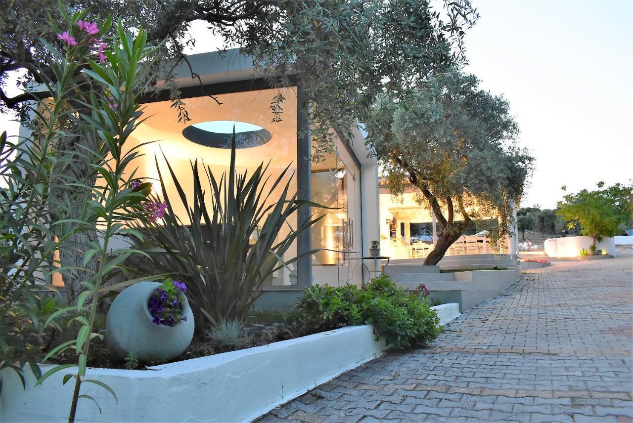 Studios Apartments Irini Patira Potos Dış mekan fotoğraf