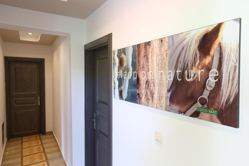 Studios Apartments Irini Patira Potos Dış mekan fotoğraf